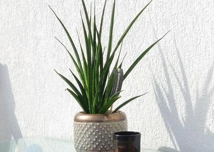 Helle In Mit Grossem Balkon By Interhome Appartement Kołobrzeg